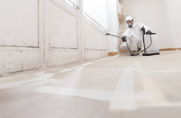 24/7 Emergency Mold Remediation experts in Vienna, VA